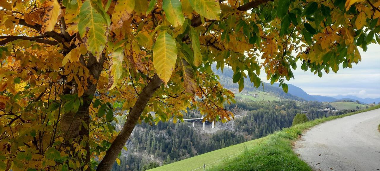 Gries Steinhof 아파트 외부 사진